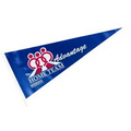 Vinyl Pennant (22"x9.5")